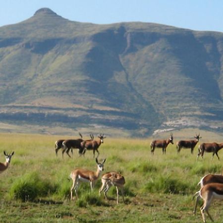 Moolmanshoek Private Game Reserve Hotel Ficksburg Esterno foto